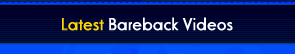 gay_bareback_sex